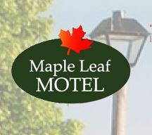 maple